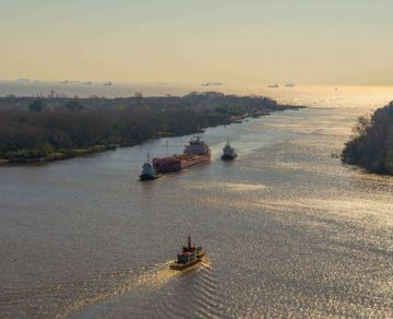Volver a los cauces naturales: el estudio de Países Bajos que Argentina no puede ignorar
